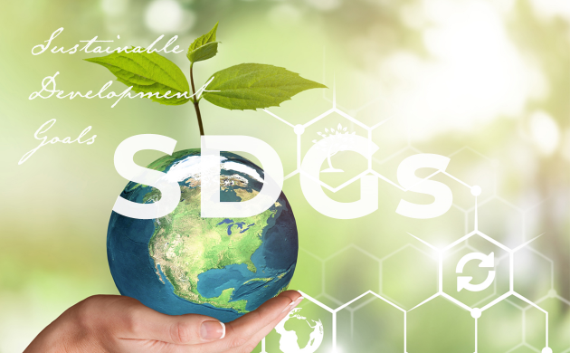 SDGs