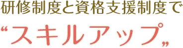 研修制度と資格支援制度でスキルアップ