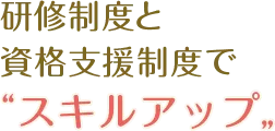 研修制度と資格支援制度でスキルアップ