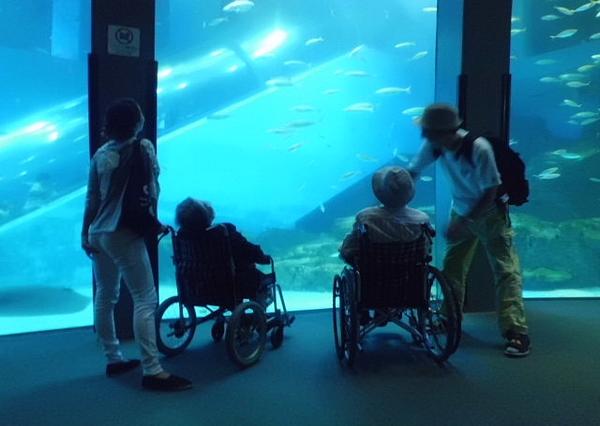 「また一緒に出掛けられると思いませんでした」とご家族参加型アクティビティを楽しまれていました。