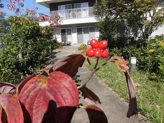 当ホームの中庭では入居者様が四季折々を感じて頂ける憩いの空間となっています。