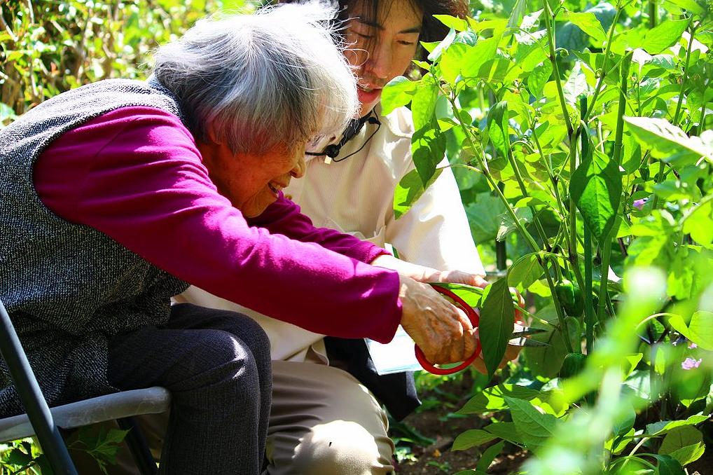 「くらら畑」で野菜を育てて皆で食すケアファーム♪