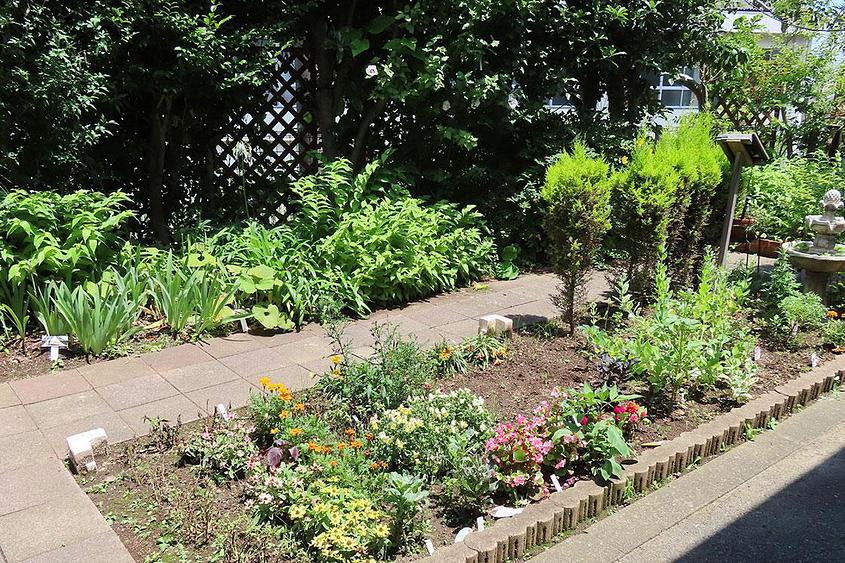 メディカルホームくらら青葉台