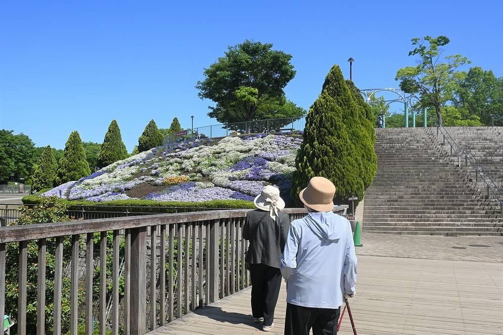 お散歩でリフレッシュ！想いに寄り添い実現に努めています。