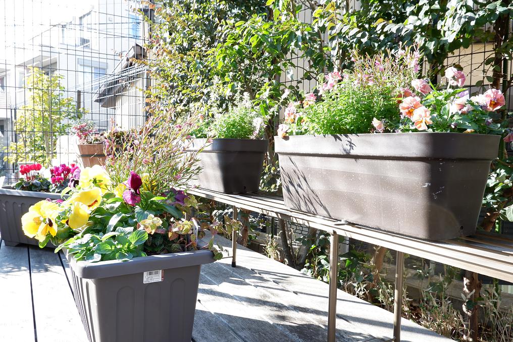 ウッドデッキのプランターに、ご入居者様と季節の花を植えました。