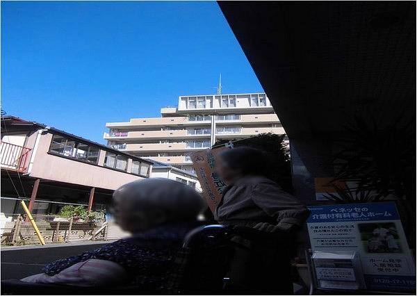 1年中とにかくよく外にお誘いします。きれいな青空や夕焼けを一緒に眺める時間を大事にします。