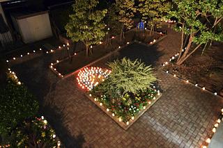 ひとつ、またひとつ、灯りがともっていきます。