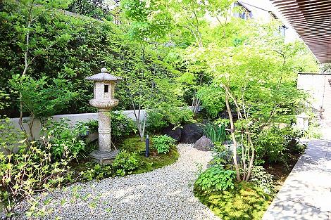 1階ダイニングから眺める日本庭園は京都から庭師に来ていただき作り込んでいます。