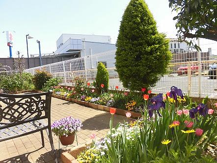 テラスでは、四季折々の花があり、天気のいい日は 外で気分転換をして頂く、憩いの場があります。