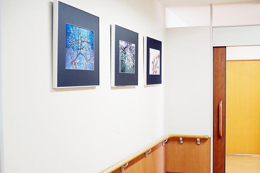 リハビリホームくらら芦屋