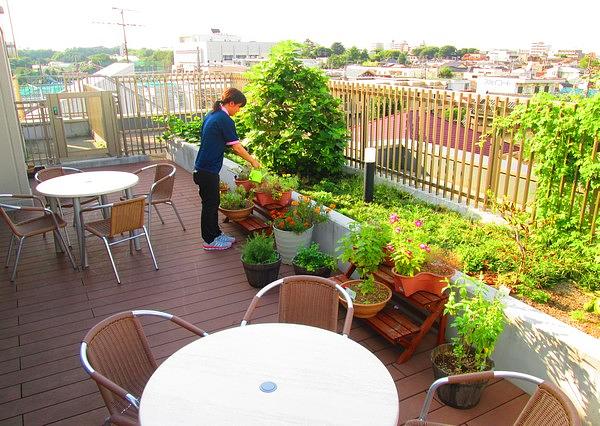 5Fにあるテラスは日当たりが良く季節のお花や野菜を育てており、ご入居者様の楽しみの場となっています。