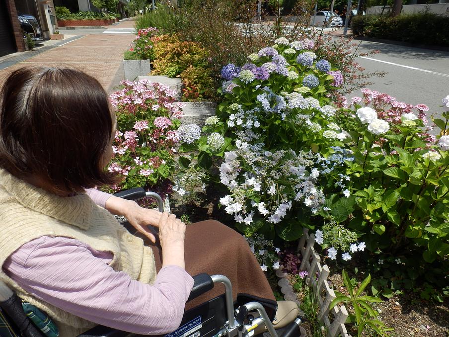 平坦な道が続き季節の花が咲いているので、ご入居者様と散歩に出かけます。花の名前も教えてもらっています。