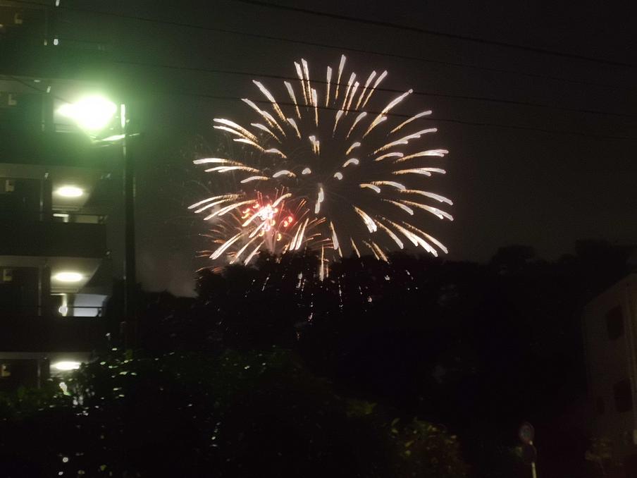 ホームの向かいは府中競馬場！毎年恒例になっている夏の花火大会は特等席です！