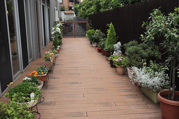 ウッドデッキにはいつも季節の花が咲いており、ご入居者様と歩きながら草花の成長を見守っています。