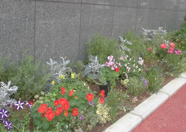 お客様をお出迎えする玄関前の花壇です。お花の手入れもスタッフが行っています。