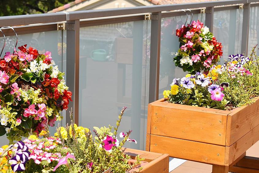 メディカル・リハビリホームグランダ香櫨園