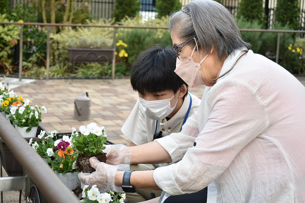 中庭でプランターの植え替え。