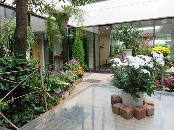 中庭はご近所のお花屋さんが定期的に入れ替えに来てくれます。自慢のお庭、ぜひ見に来て下さい！