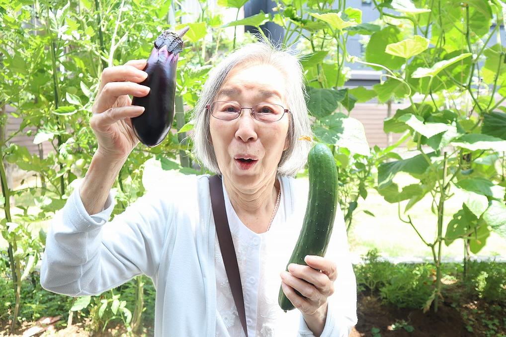 「中庭での園芸活動」季節の野菜や花のお世話をしています