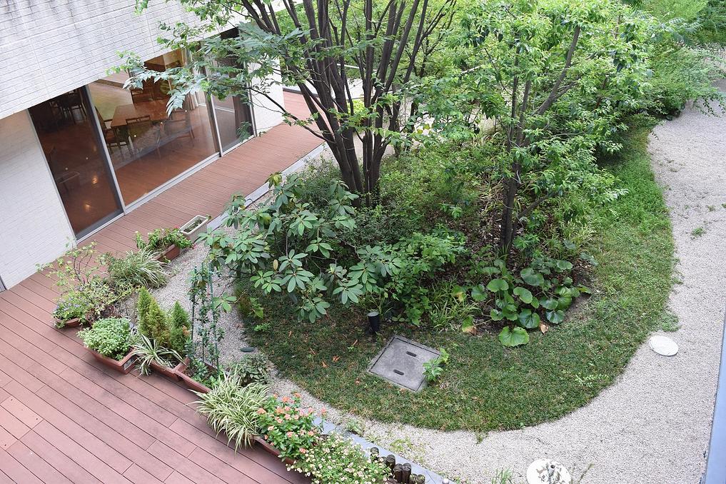 花と緑に囲まれた自慢の中庭です。ご入居者様のお散歩コースにもなっています。