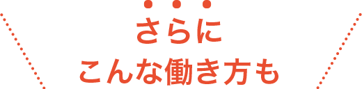 さらにこんな働き方も