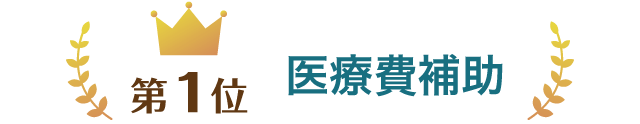 第1位 医療費補助